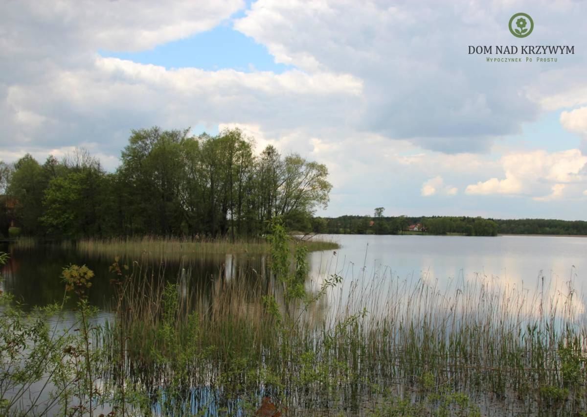 Фермерские дома Dom nad Krzywym Krzywe